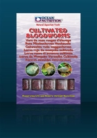 Ocean Nutricion Cultivated Bloodworms blister